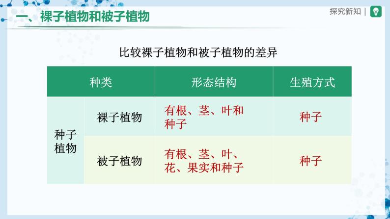 【人教版】七上生物   3.1.2 种子植物（第2课时）（课件+教案+导学案+练习）08