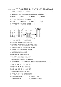 2022-2023学年广东省揭阳市普宁市七年级（下）期末生物试卷（含解析）