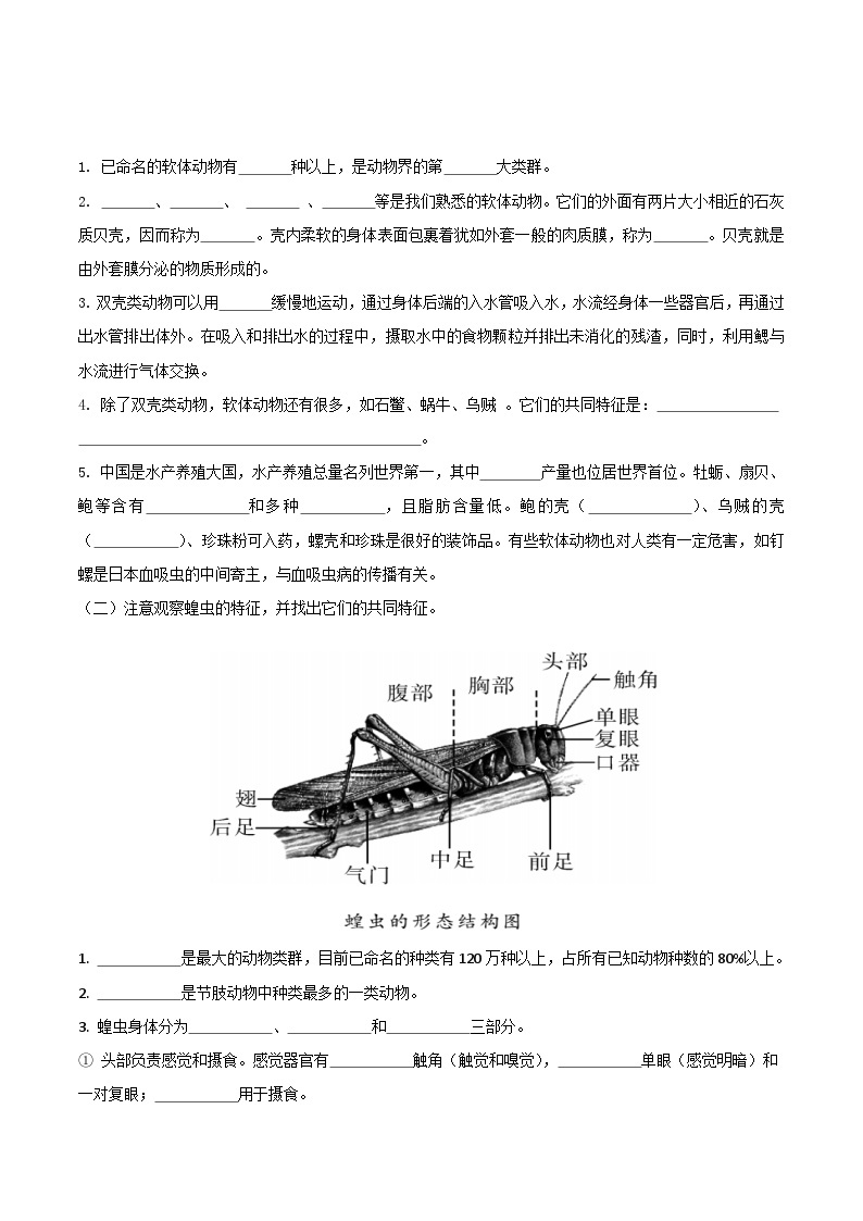 人教版八年级上册5.1.3《软体动物和节肢动物》课件+教案+导学案+分层作业02