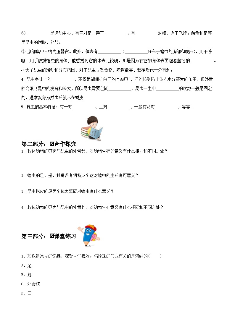 人教版八年级上册5.1.3《软体动物和节肢动物》课件+教案+导学案+分层作业03