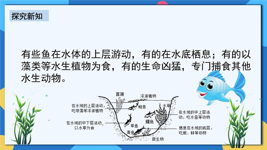 人教版八年級上冊5.1.4《魚》課件第8頁