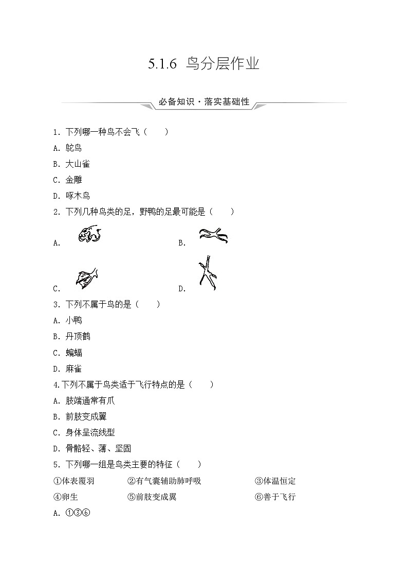人教版八年级上册5.1.6《鸟》课件+教案+导学案+分层作业01