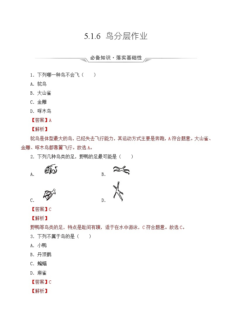 人教版八年级上册5.1.6《鸟》课件+教案+导学案+分层作业01