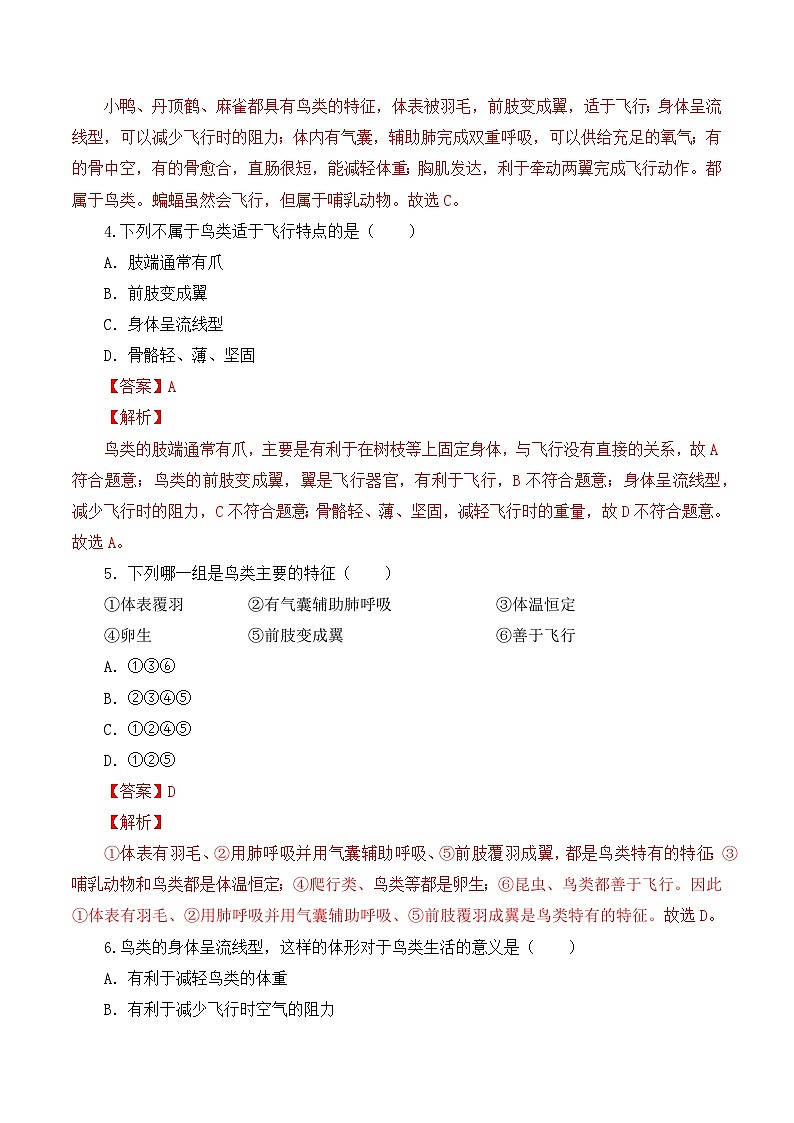 人教版八年级上册5.1.6《鸟》课件+教案+导学案+分层作业02