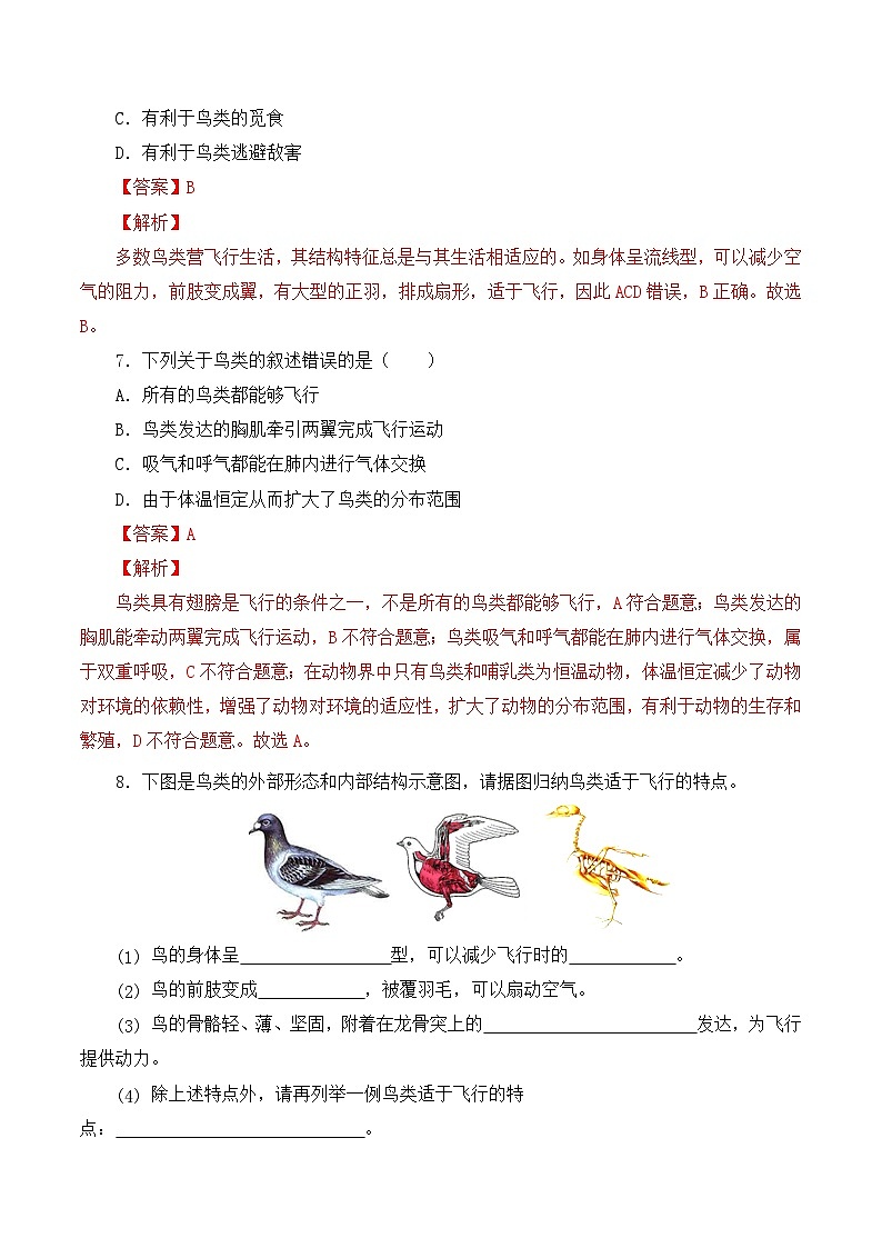 人教版八年级上册5.1.6《鸟》课件+教案+导学案+分层作业03