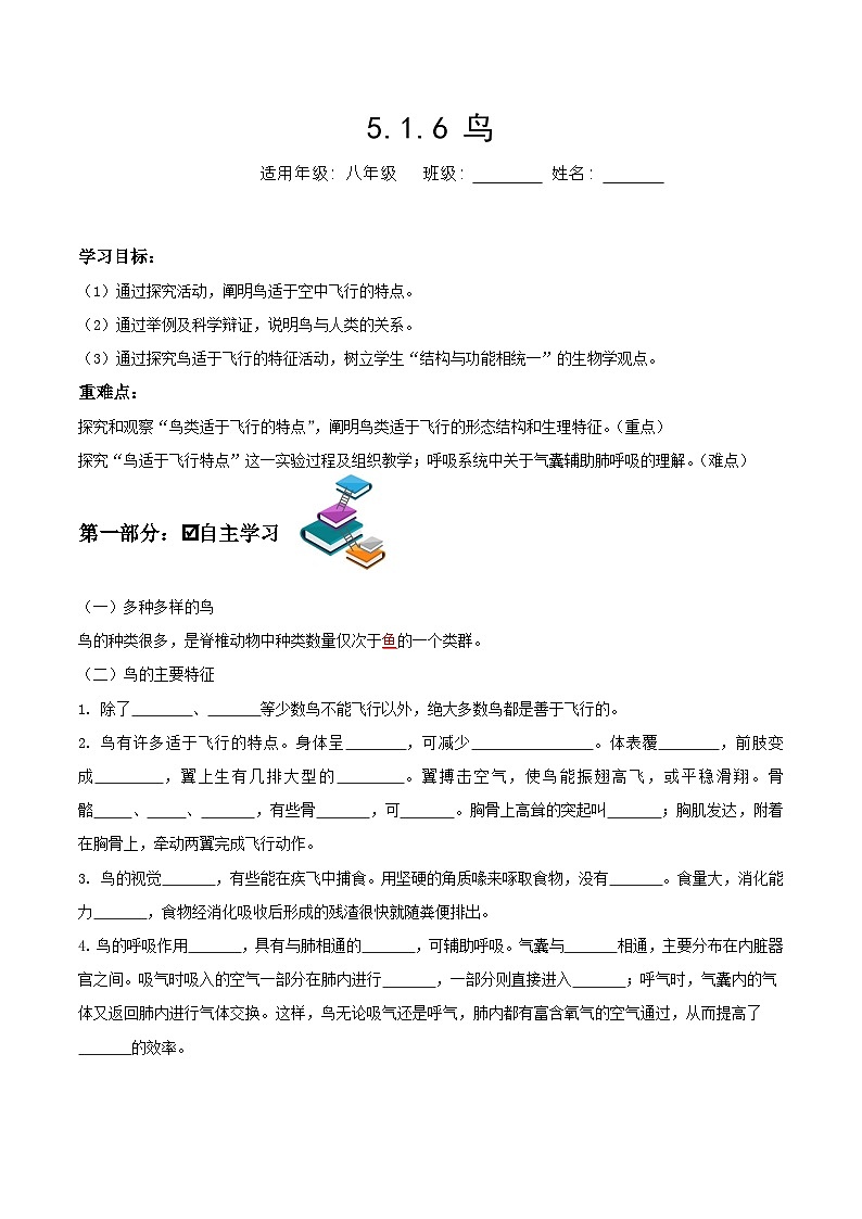 人教版八年级上册5.1.6《鸟》课件+教案+导学案+分层作业01