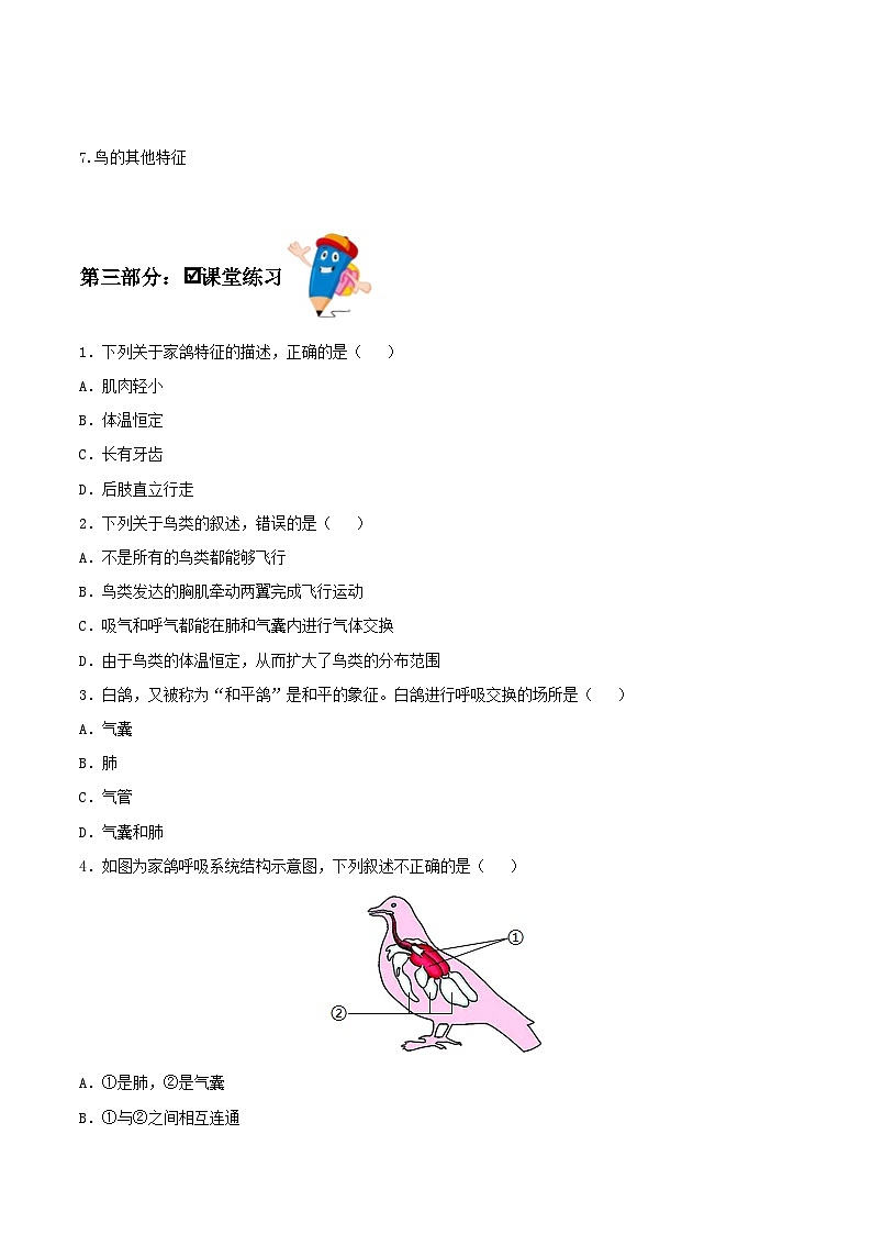 人教版八年级上册5.1.6《鸟》课件+教案+导学案+分层作业03