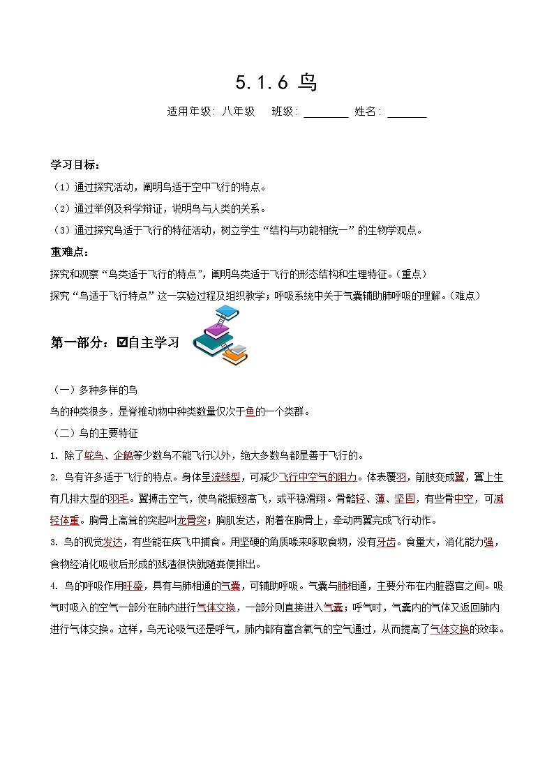 人教版八年级上册5.1.6《鸟》课件+教案+导学案+分层作业01