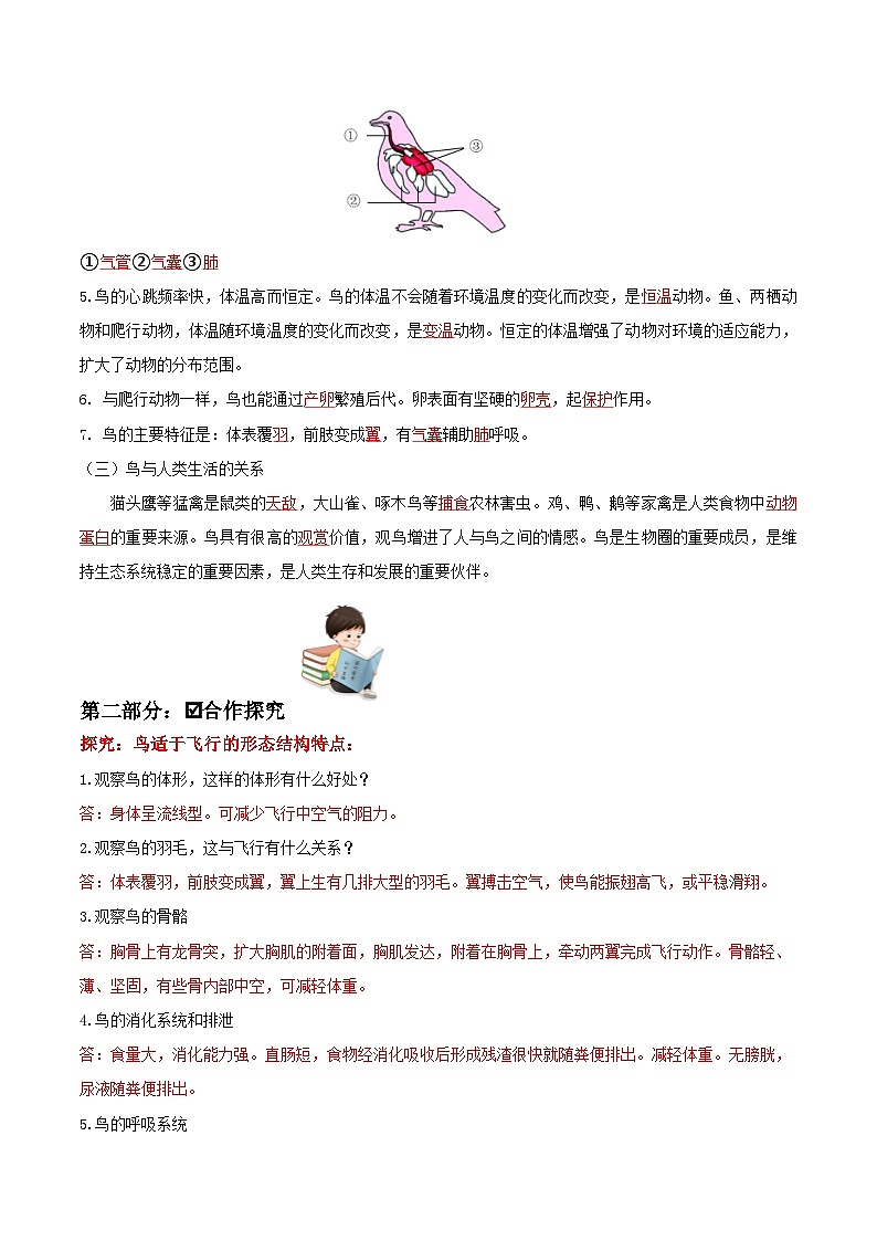 人教版八年级上册5.1.6《鸟》课件+教案+导学案+分层作业02
