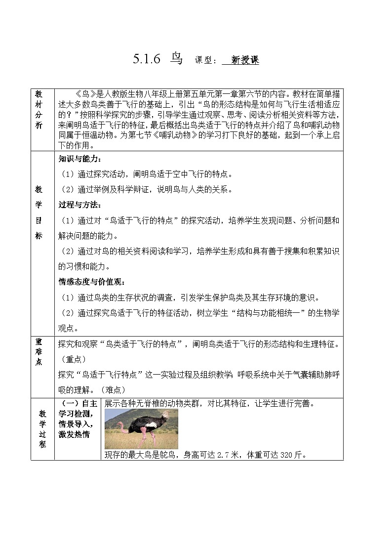 人教版八年级上册5.1.6《鸟》课件+教案+导学案+分层作业01