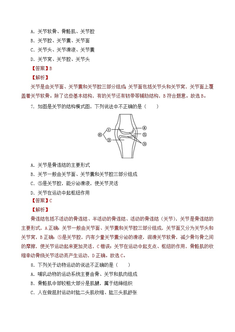 人教版八年级上册5.2.1《动物的运动》课件+教案+导学案+分层作业03