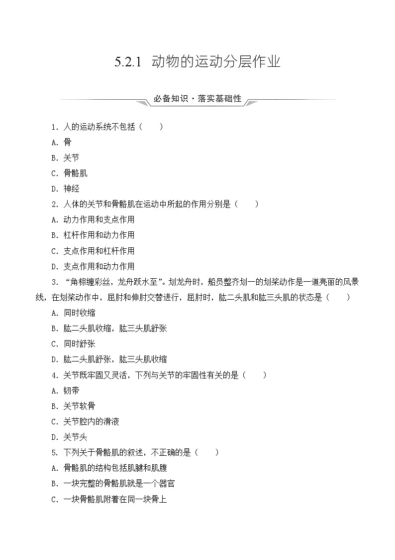 人教版八年级上册5.2.1《动物的运动》课件+教案+导学案+分层作业01