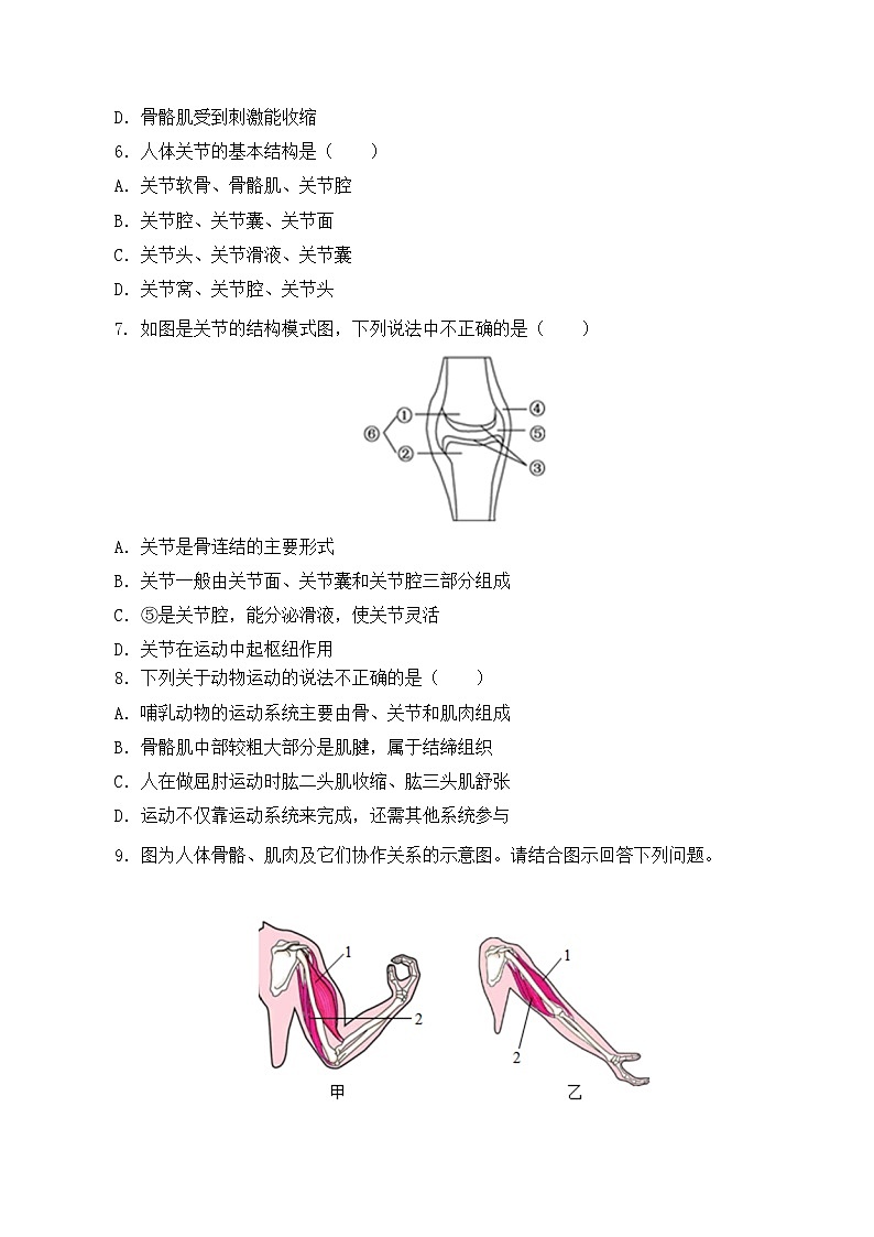 人教版八年级上册5.2.1《动物的运动》课件+教案+导学案+分层作业02