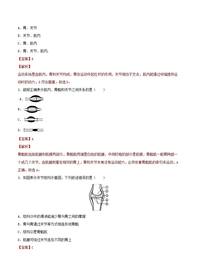 人教版八年级上册5.2.1《动物的运动》课件+教案+导学案+分层作业03