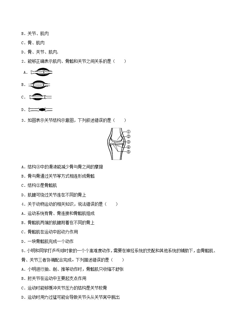 人教版八年级上册5.2.1《动物的运动》课件+教案+导学案+分层作业03