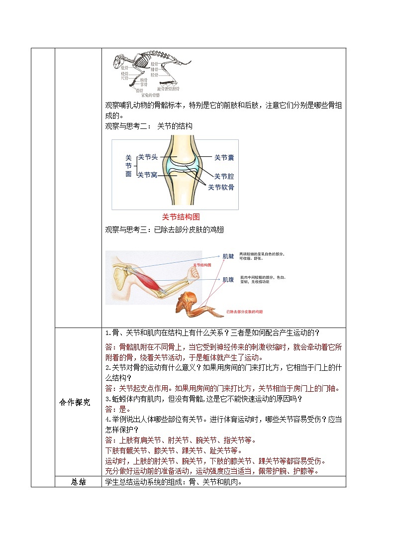 人教版八年级上册5.2.1《动物的运动》课件+教案+导学案+分层作业03