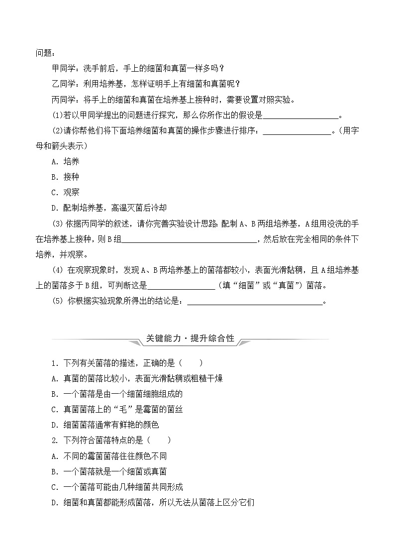人教版八年级上册5.4.1《细菌和真菌的分布》课件+教案+导学案+分层作业03