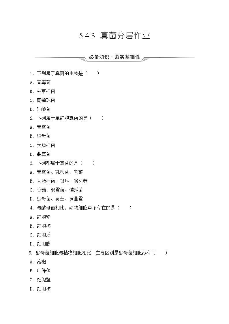 人教版八年级上册5.4.3《真菌》课件+教案+导学案+分层作业01