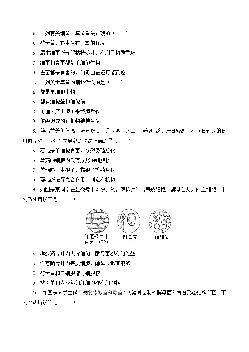 人教版八年级上册5.4.3《真菌》课件+教案+导学案+分层作业02