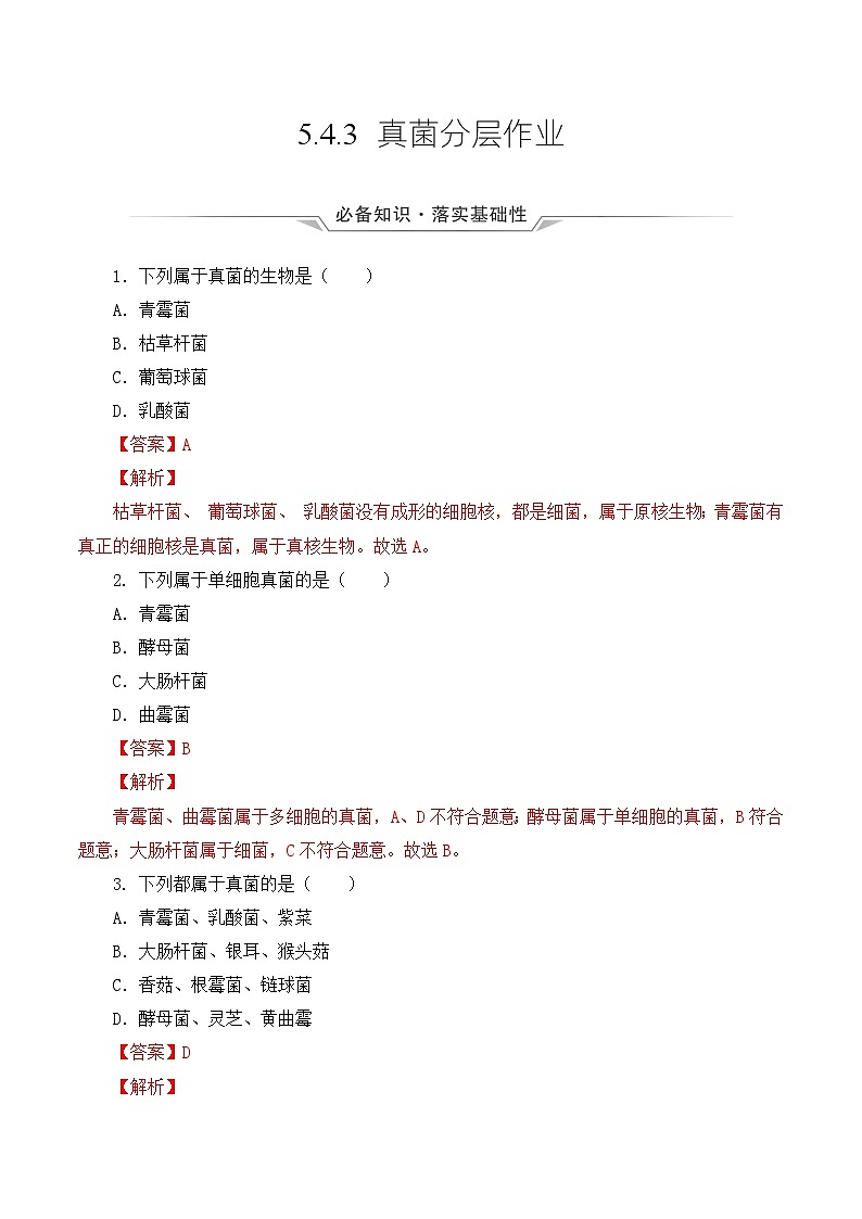 人教版八年级上册5.4.3《真菌》课件+教案+导学案+分层作业01