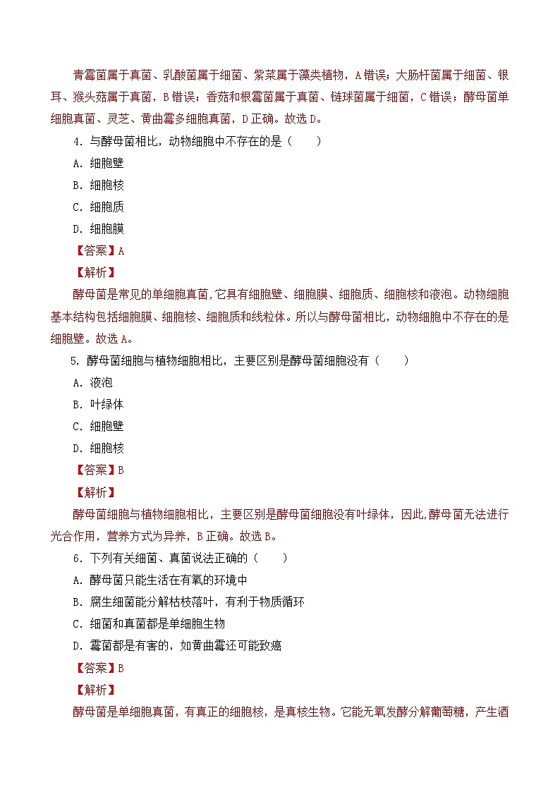 人教版八年级上册5.4.3《真菌》课件+教案+导学案+分层作业02