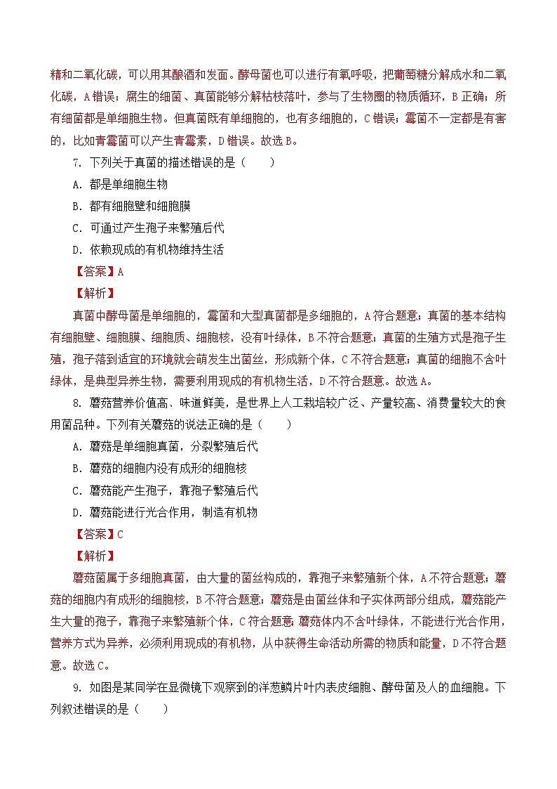 人教版八年级上册5.4.3《真菌》课件+教案+导学案+分层作业03