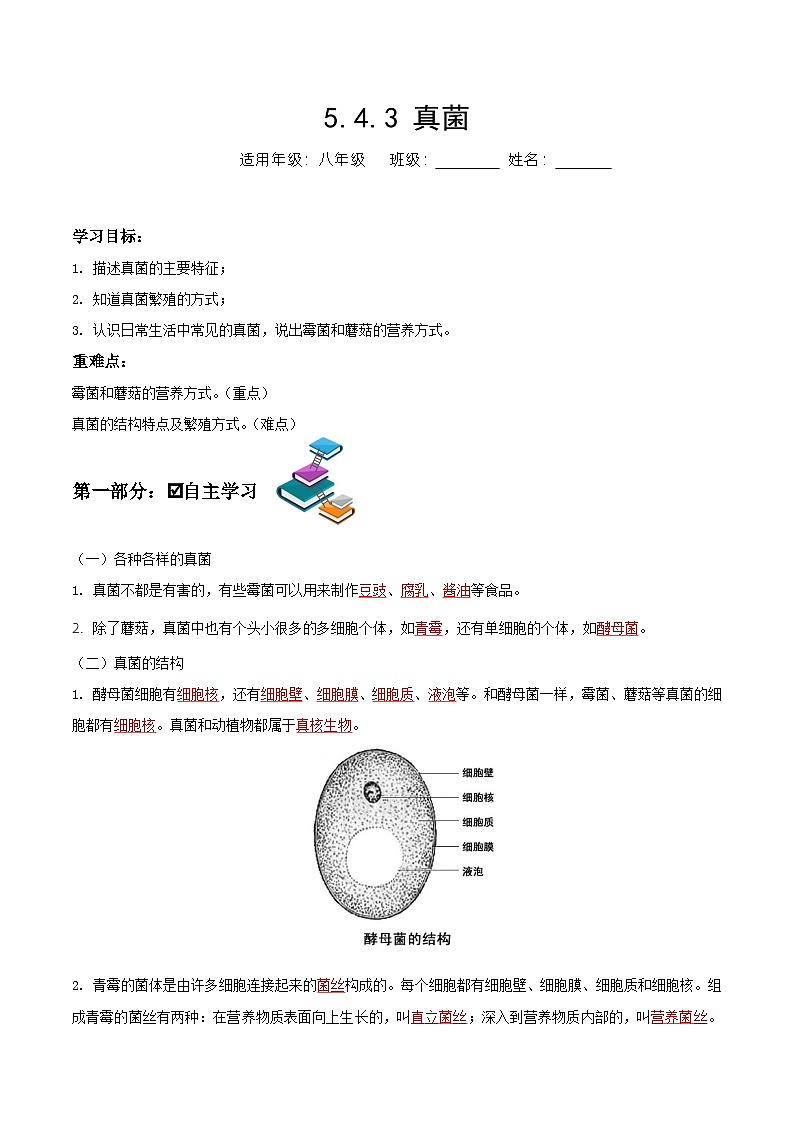 人教版八年级上册5.4.3《真菌》课件+教案+导学案+分层作业01
