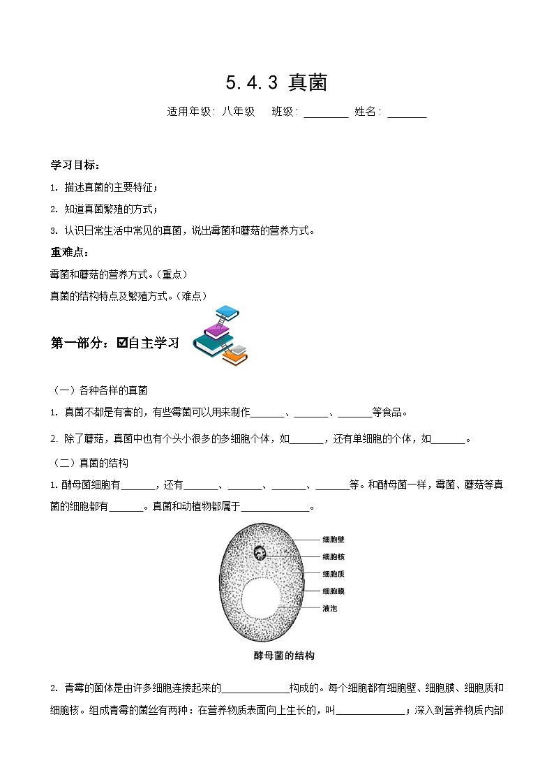 人教版八年级上册5.4.3《真菌》课件+教案+导学案+分层作业01