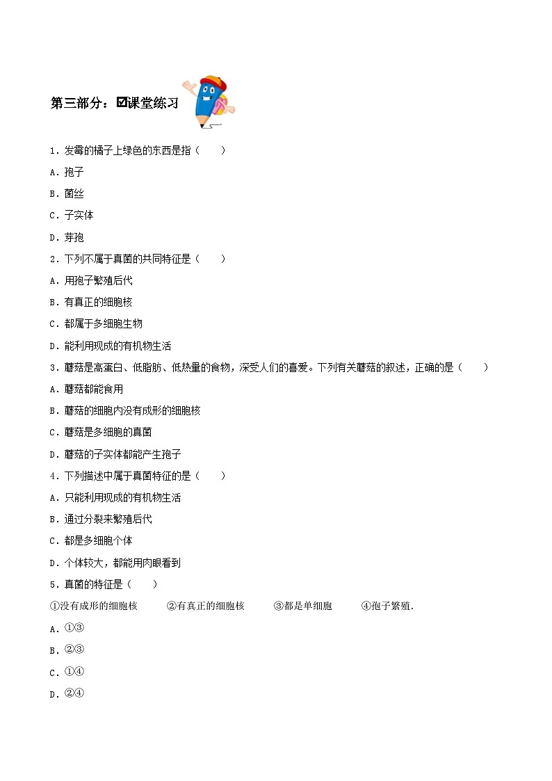 人教版八年级上册5.4.3《真菌》课件+教案+导学案+分层作业03