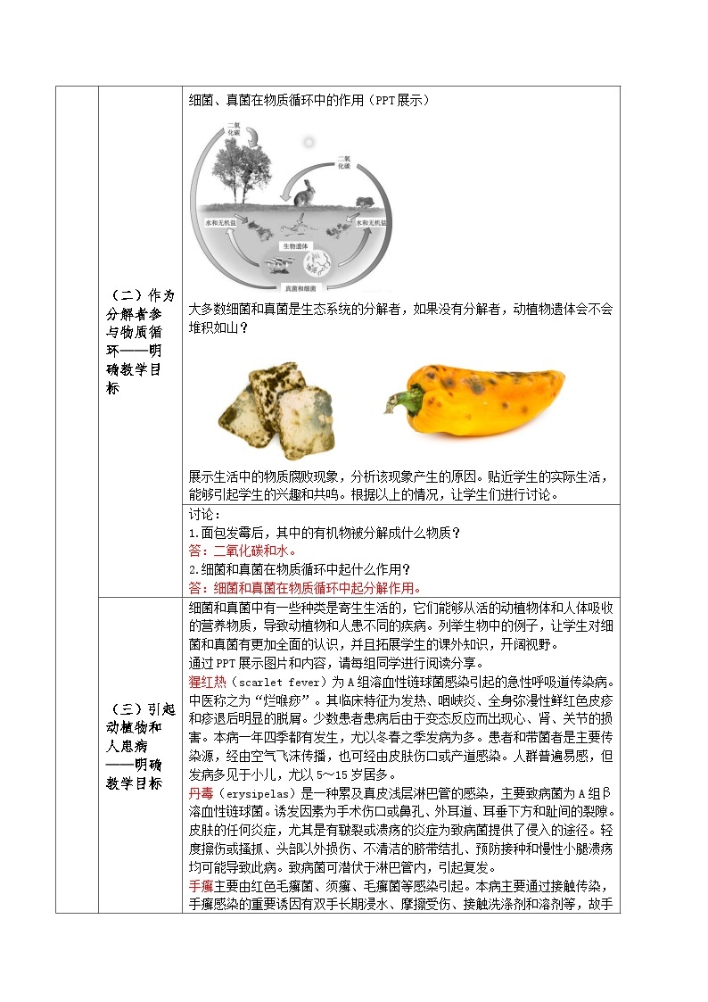 人教版八年级上册5.4.4《细菌和真菌在自然界中的作用》课件+教案+导学案+分层作业02