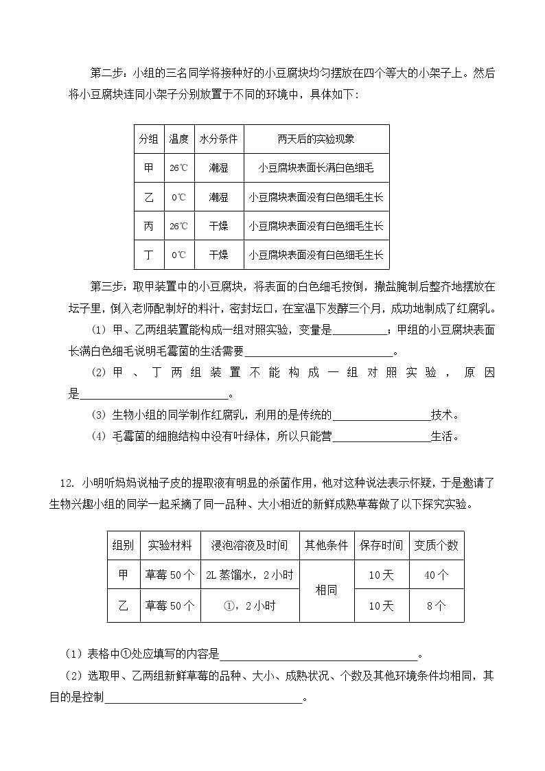 人教版八年级上册5.4.5《人类对细菌和真菌的利用》课件+教案+导学案+分层作业03