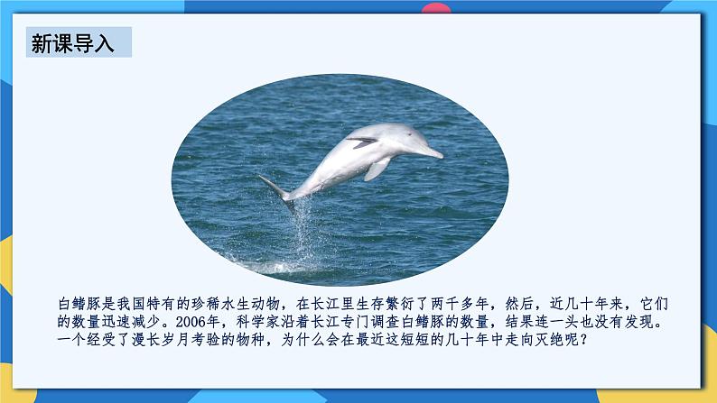 人教版八年级上册6.3《保护生物多样性》课件+教案+导学案+分层作业03