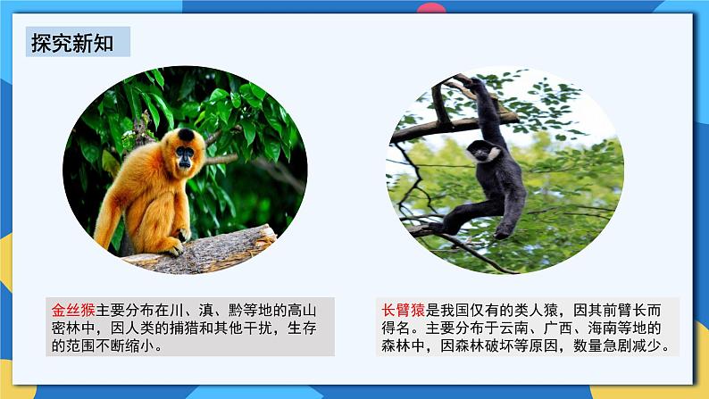 人教版八年级上册6.3《保护生物多样性》课件+教案+导学案+分层作业06
