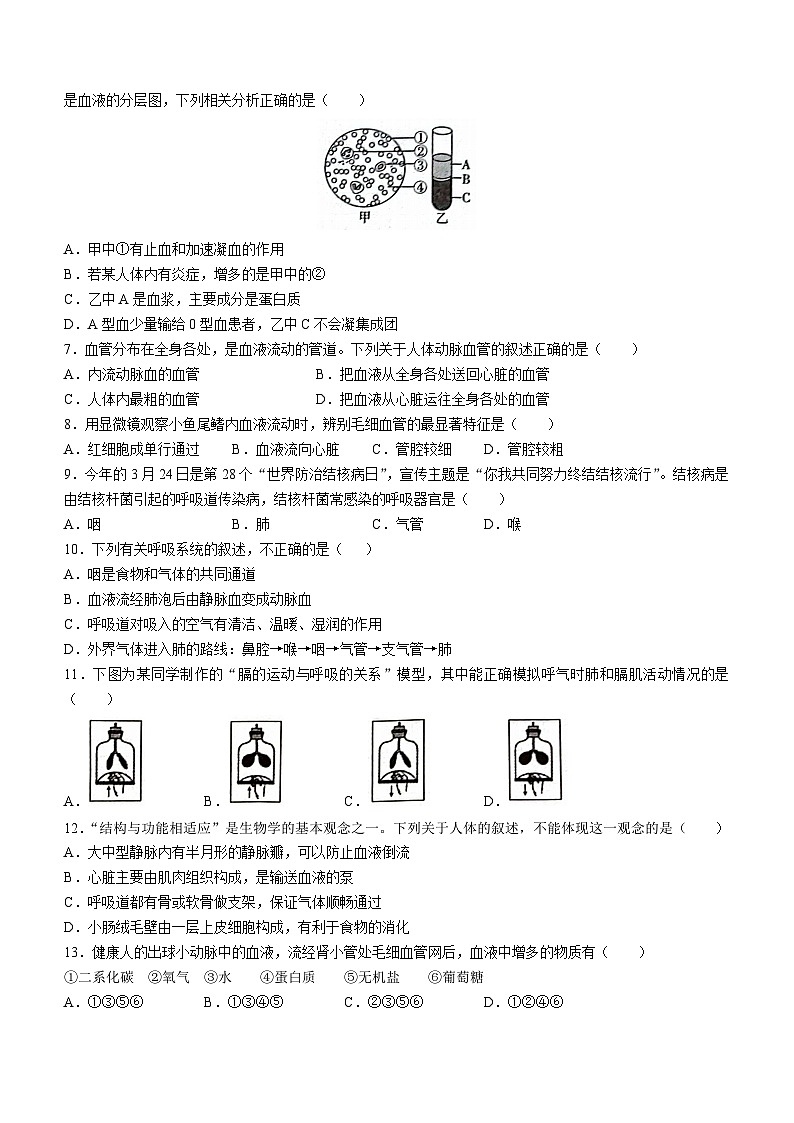 河北省保定市顺平县2022-2023学年七年级下学期期末生物试题(含答案)02
