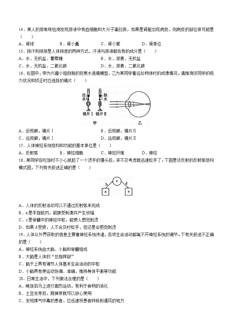 河北省保定市顺平县2022-2023学年七年级下学期期末生物试题(含答案)03