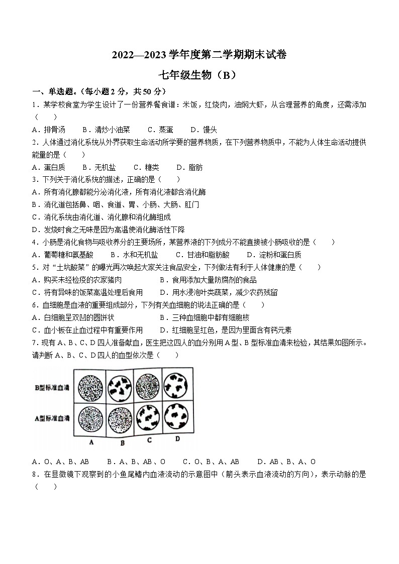 河北省邯郸市大名县2022-2023学年七年级下学期期末生物试题(含答案)第1页