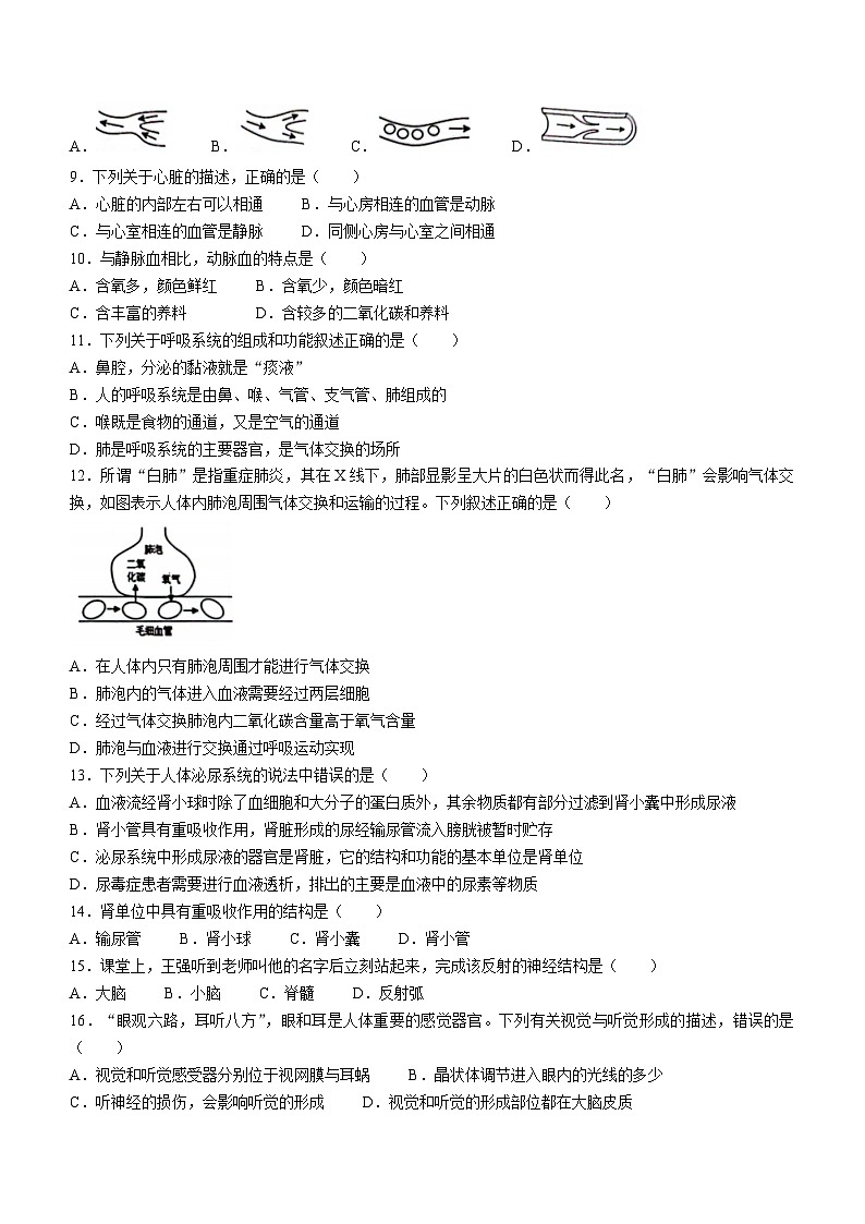 河北省邯郸市大名县2022-2023学年七年级下学期期末生物试题(含答案)第2页