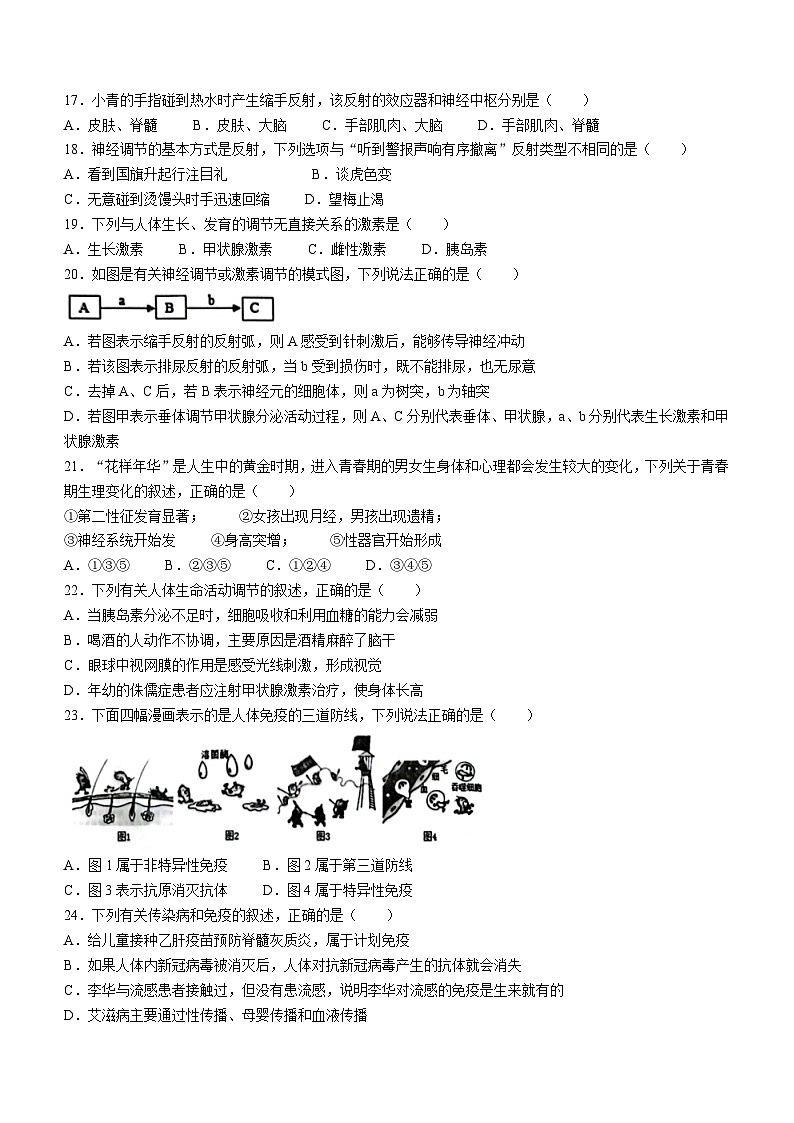 河北省邯郸市大名县2022-2023学年七年级下学期期末生物试题(含答案)第3页