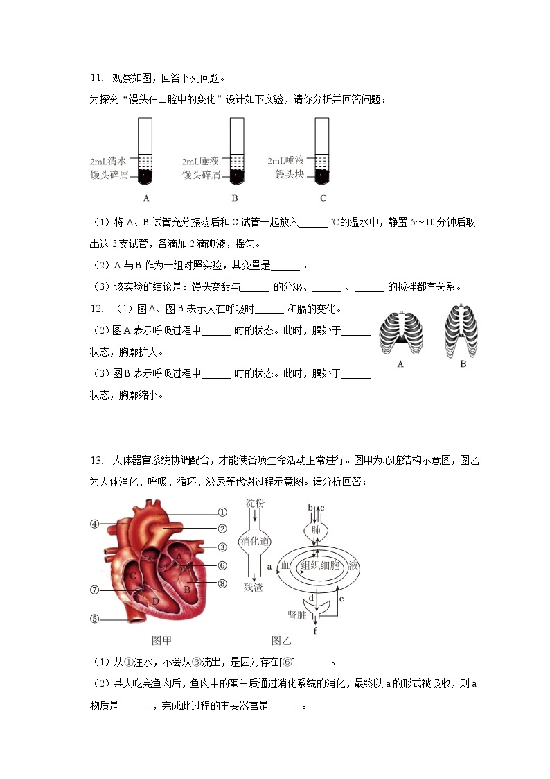 安徽省池州市贵池区2022-2023学年七年级下学期期末生物试卷（含答案）03