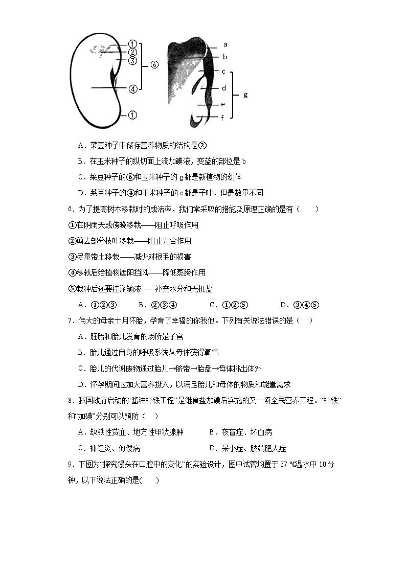 2023年河南省驻马店市泌阳县中考一模生物试题(含解析)第2页