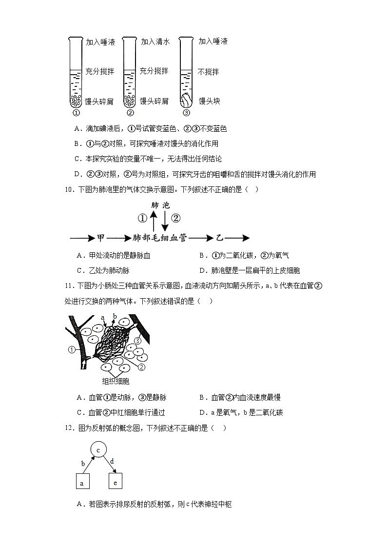 2023年河南省驻马店市泌阳县中考一模生物试题(含解析)第3页