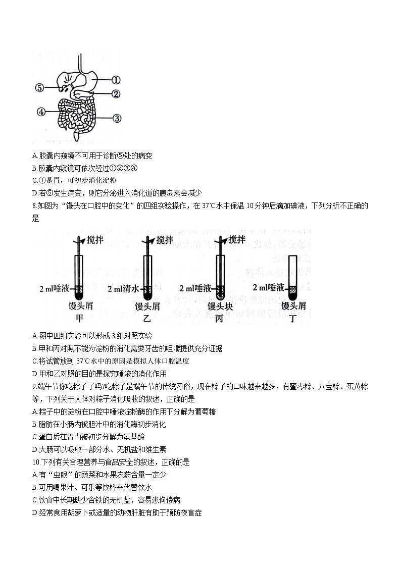 山东省聊城市东昌府区2022-2023学年七年级下学期期末生物试题(含答案)第2页
