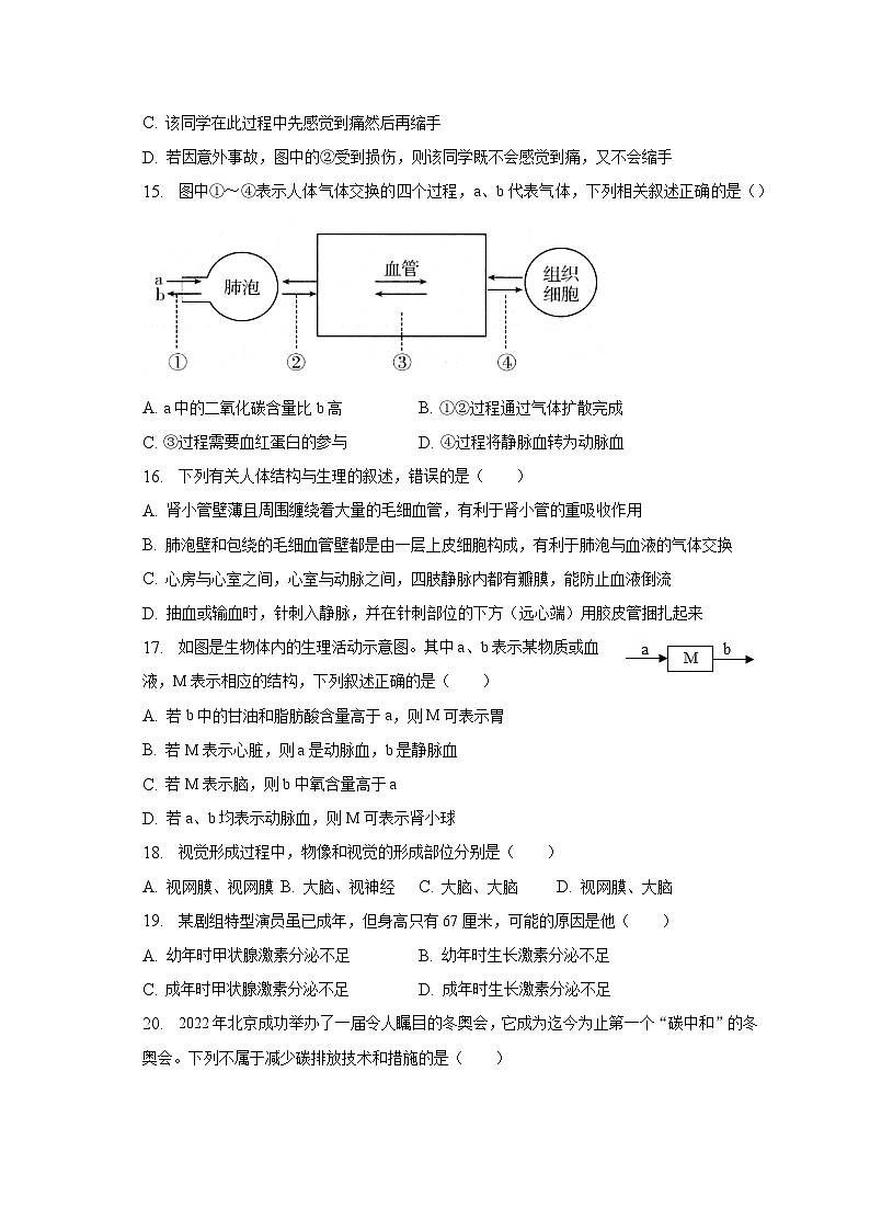 2022-2023学年河南省周口市沈丘县七年级(下)期末生物试卷(含解析)第3页