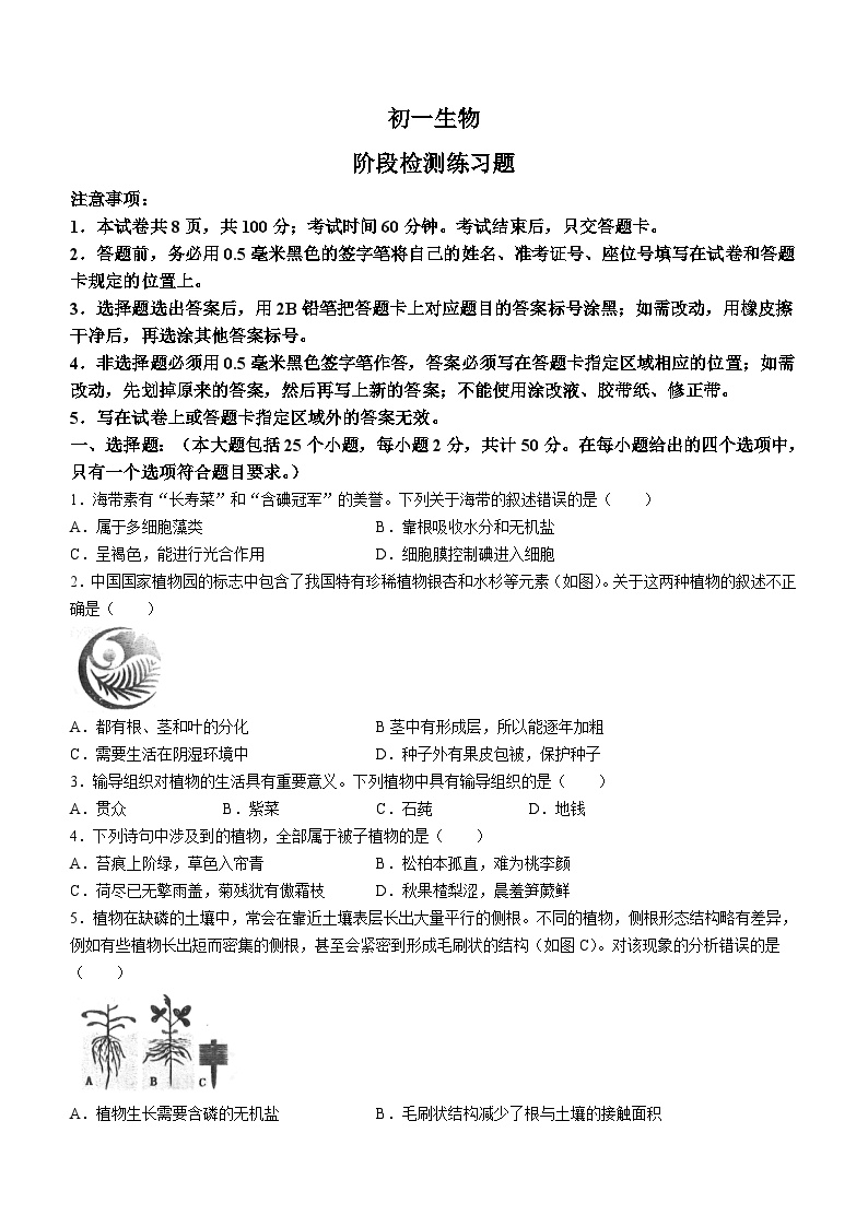 山东省烟台市芝罘区2022-2023学年六年级下学期期末生物试题（含答案）