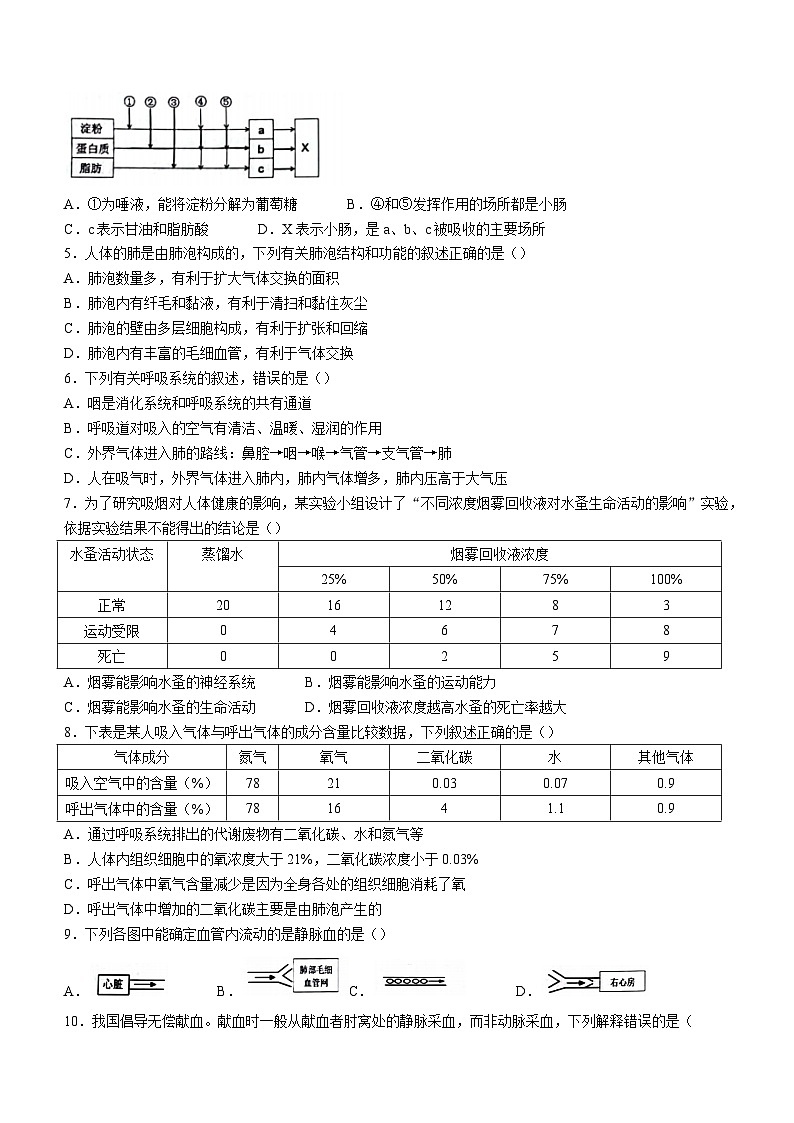 山東省濱州市濱城區(qū)2022-2023學(xué)年七年級(jí)下學(xué)期期末生物試題（含答案）第2頁(yè)