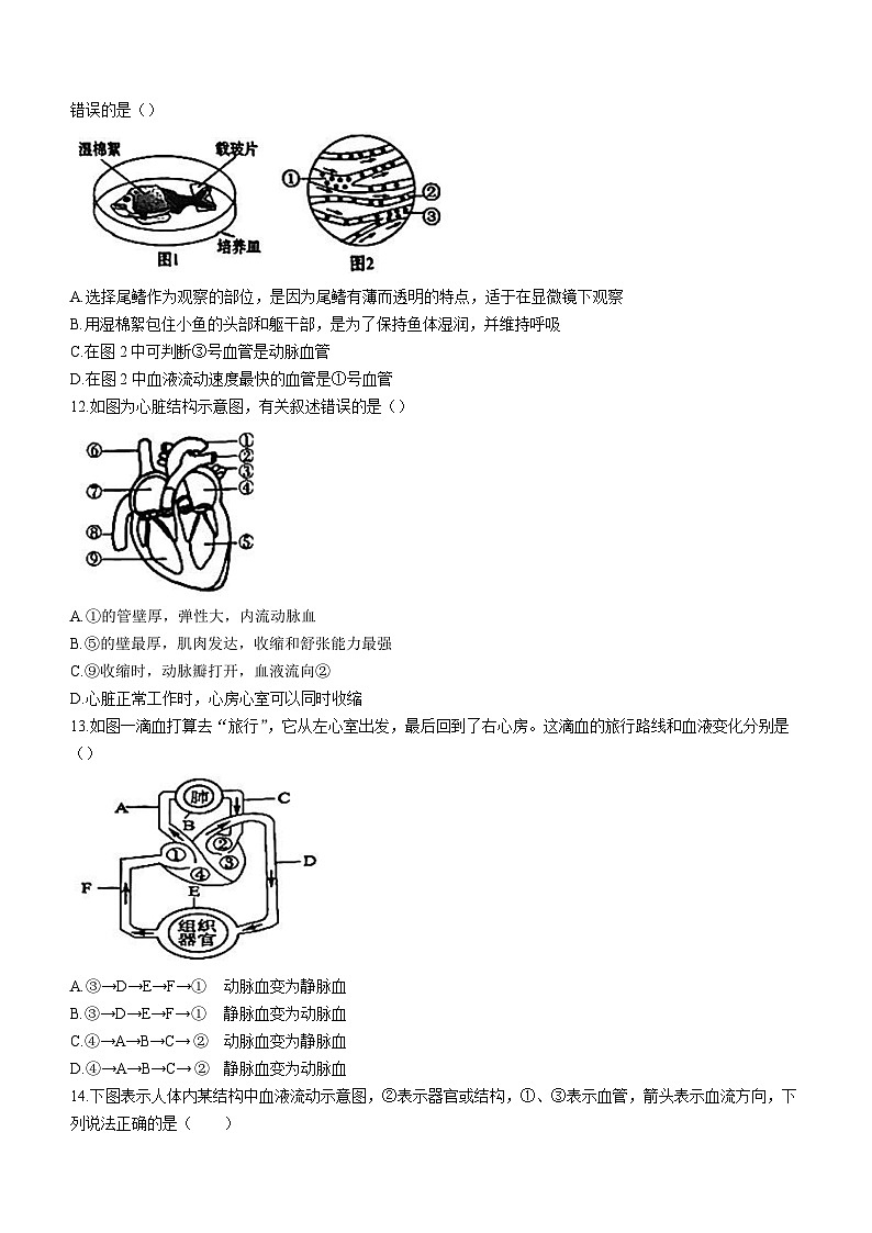 山东省济南市天桥区2022-2023学年七年级下学期期末生物试题(含答案)03