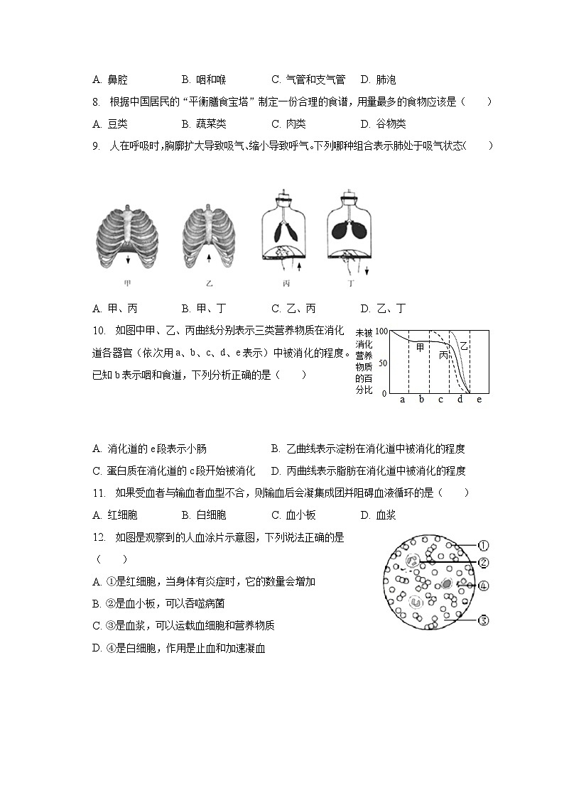 2022-2023学年吉林省长春市榆树市慧望中学七年级(下)期末生物试卷(含解析)第2页