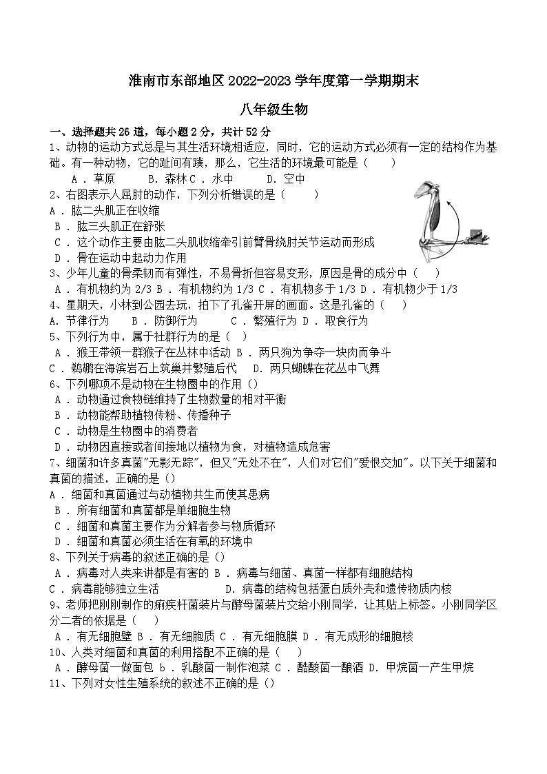 安徽省淮南市大通区2022-2023学年八年级下学期期末考试生物试卷(含答案)第1页