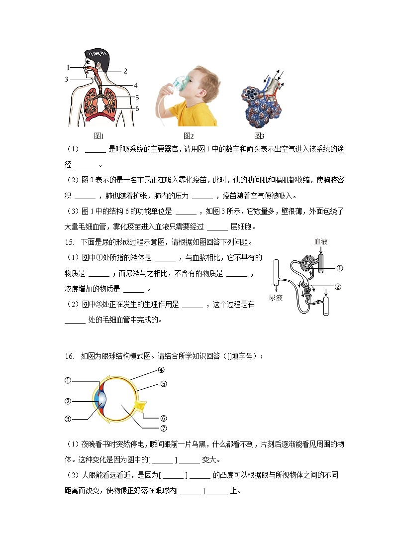 辽宁省抚顺市清原县2022-2023学年七年级下学期期末生物试卷(含答案)第3页