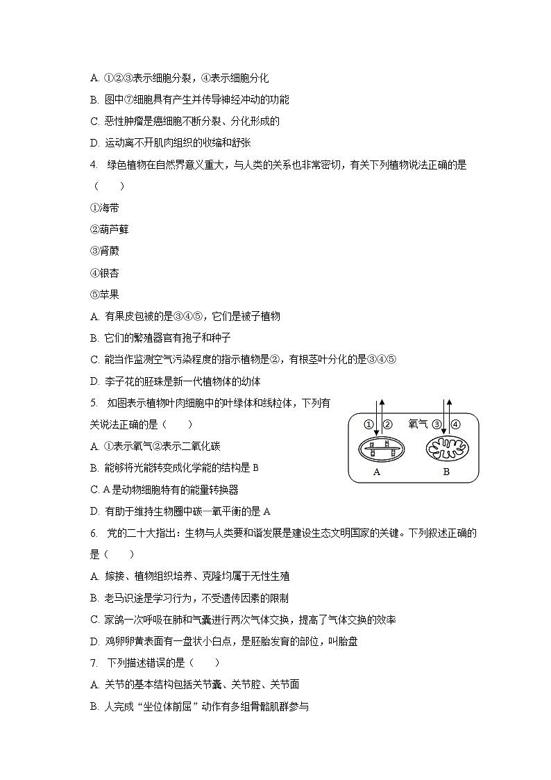 山东省枣庄市台儿庄2022-2023学年八年级下学期期末生物试卷(含答案)02